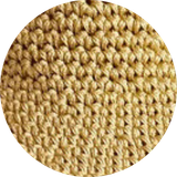 Dried Palm